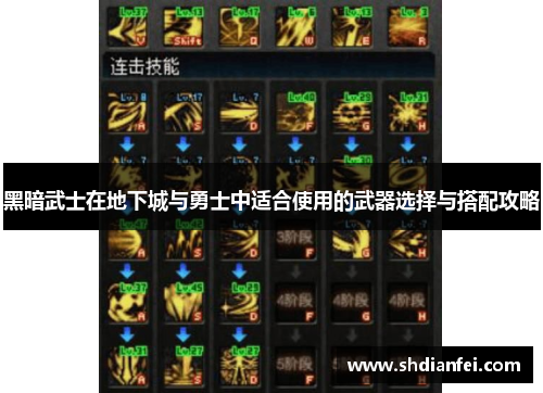 黑暗武士在地下城与勇士中适合使用的武器选择与搭配攻略