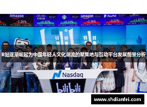 B站逐渐崛起为中国年轻人文化潮流的聚集地与互动平台发展前景分析