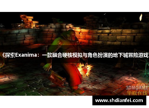 《探索Exanima：一款融合硬核模拟与角色扮演的地下城冒险游戏》